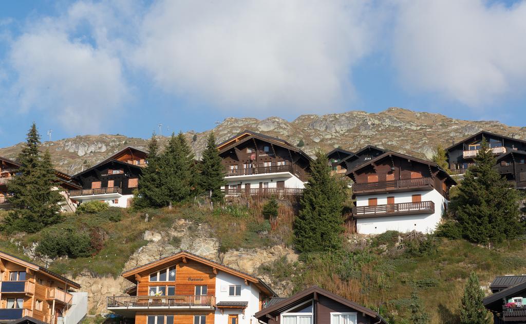 Appartement Harmony Eg Sued-Ost à Bettmeralp Extérieur photo